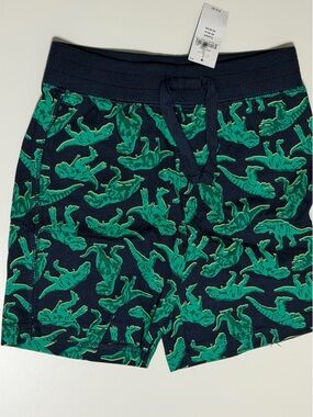 Dinosaur Boys’ Shorts